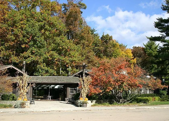 White Pines Mount Morris