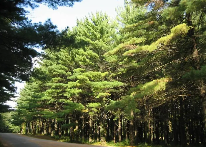 White Pines 4* Mount Morris